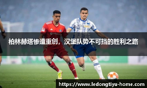 LD乐动体育官网