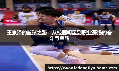 LD乐动体育平台