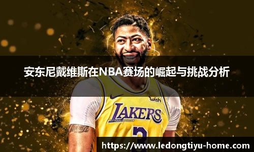 LD乐动体育平台
